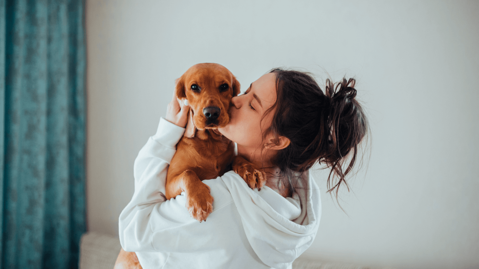 saúde mental e emocional dos pets
