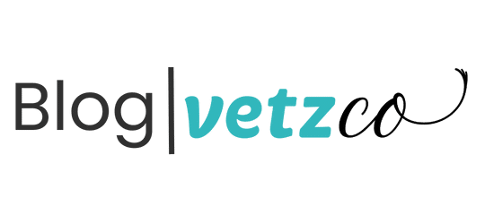 logo Blog Vetzco
