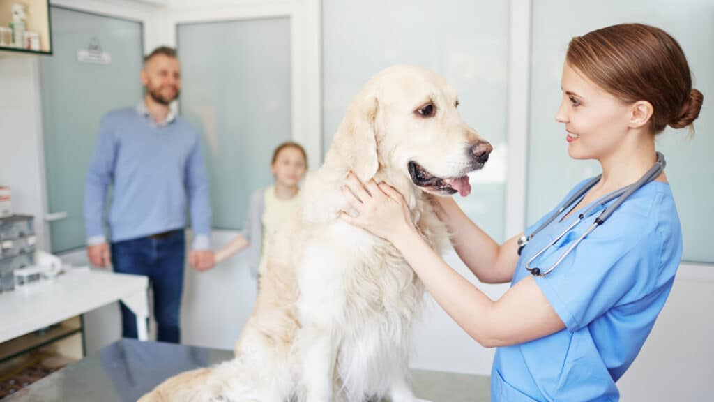 Arquivo De Para Veterinários - Página 3 De 6 -