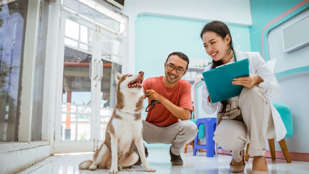 Arquivo De Para Veterinários - Página 2 De 6 -