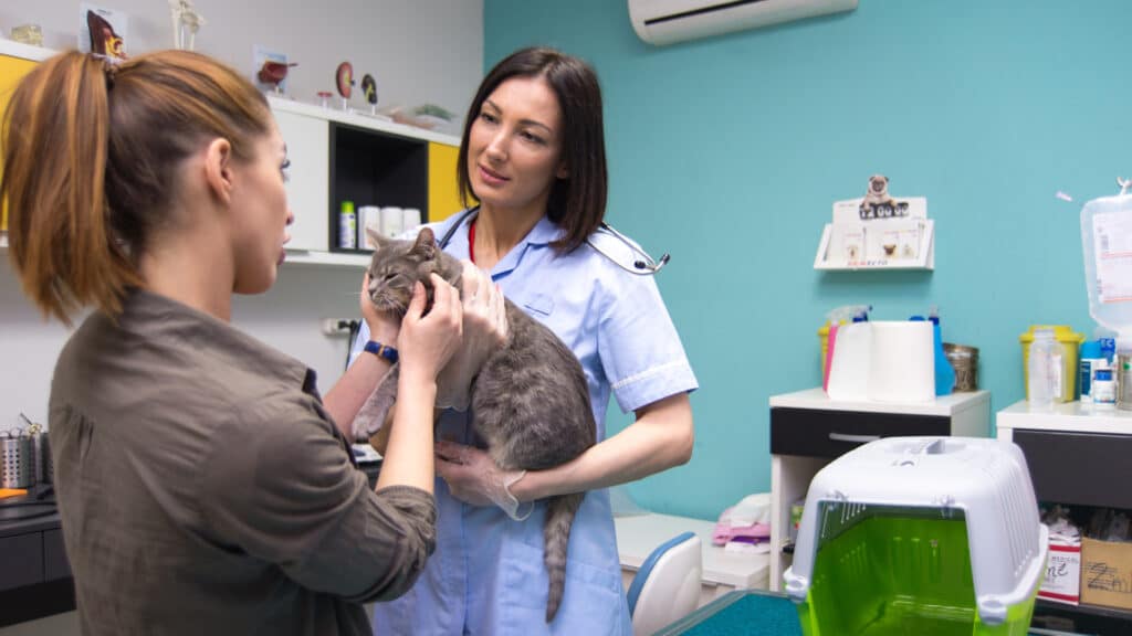 Arquivo De Para Veterinários - Página 2 De 6 -