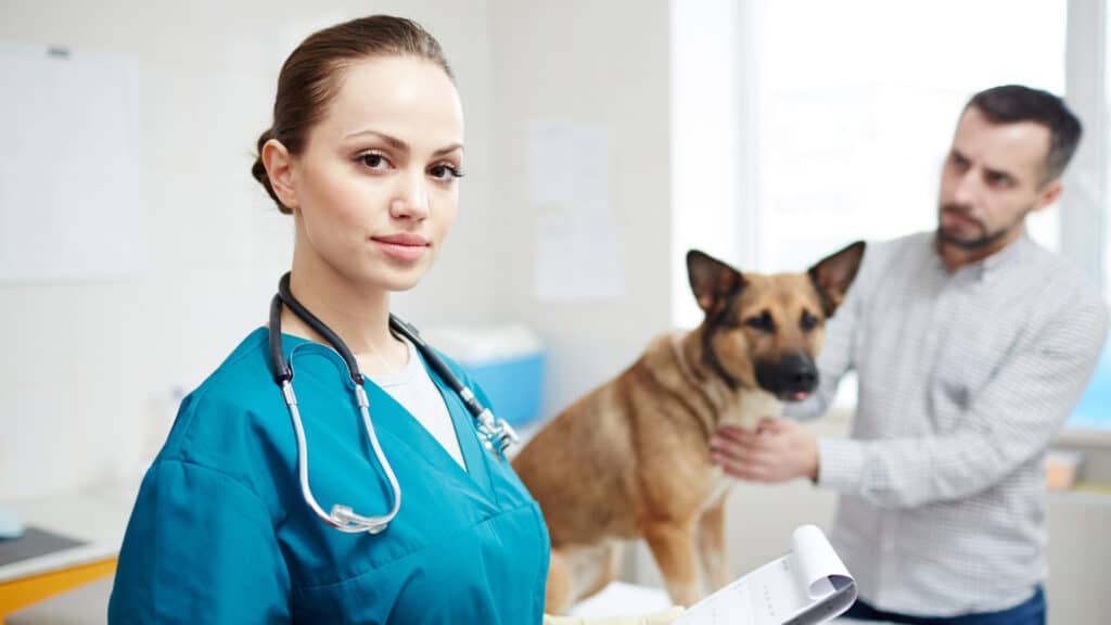 Arquivo De Atendimento Veterinário -