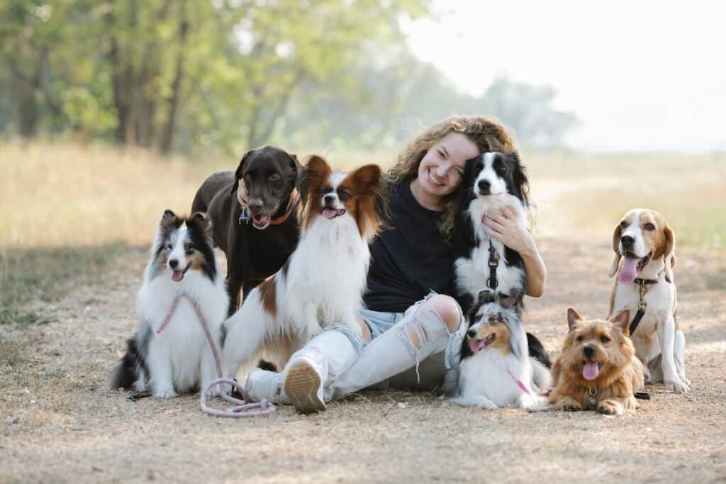 Uma menina sentada e em vota dela vários cachorros