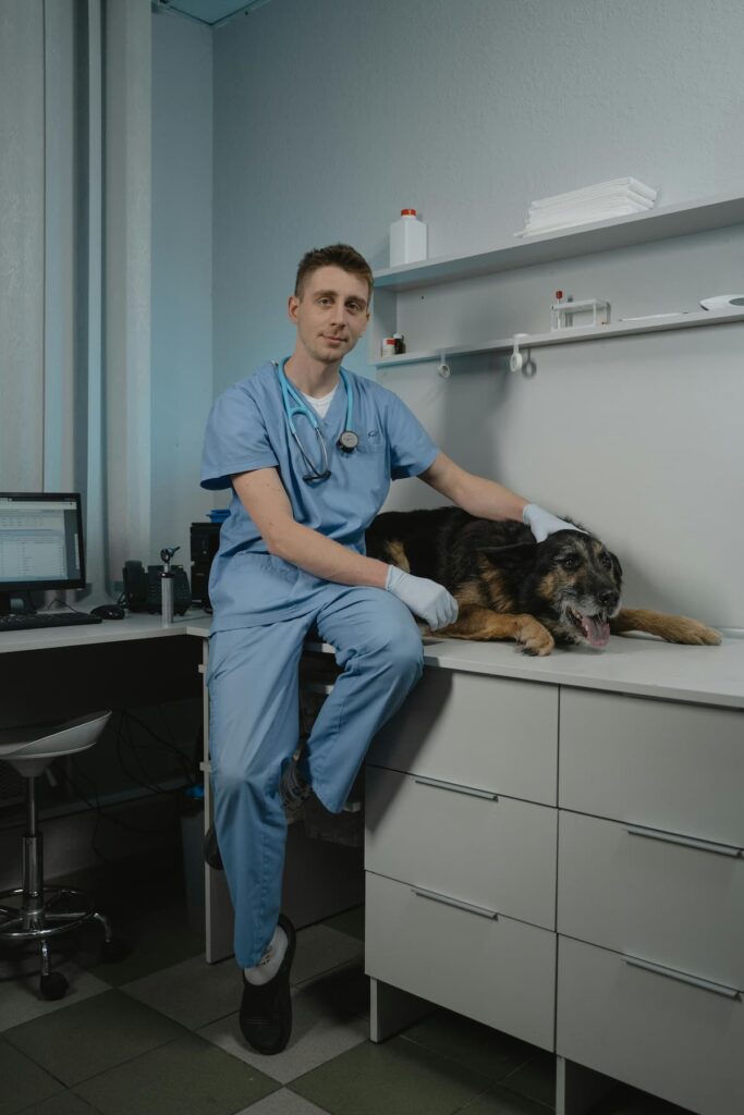 Um médico veterinário sentado em uma mesa junto com um pastor alemão ao seu lado