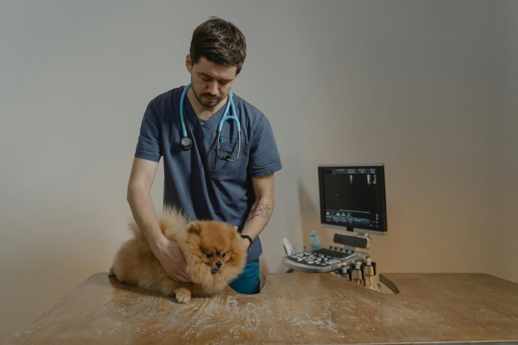 Um médico neurologista analisando um cachorro em seu consultório