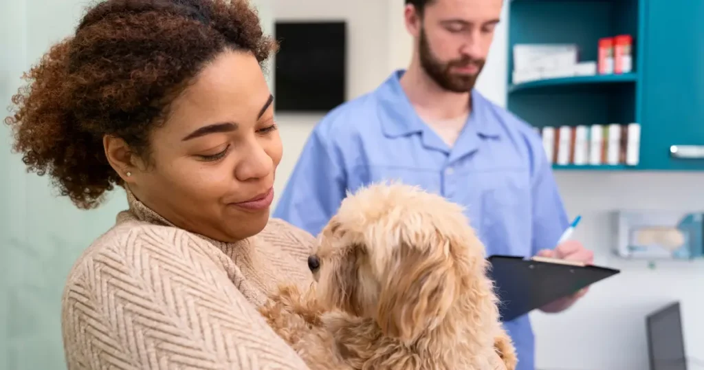 A imagem mostra uma mulher segurando um cachorro pequeno em seus braços, aparentemente em uma clínica veterinária. Ela olha para o cão com expressão afetuosa. O cachorro, que tem pelagem longa e cor clara, olha de volta para ela. Ao fundo, um veterinário com uniforme azul está anotando informações em uma prancheta, provavelmente realizando algum tipo de avaliação. O ambiente tem prateleiras com materiais e medicamentos, indicando que se trata de uma consulta veterinária. A interação transmite cuidado e preocupação com o bem-estar do animal.