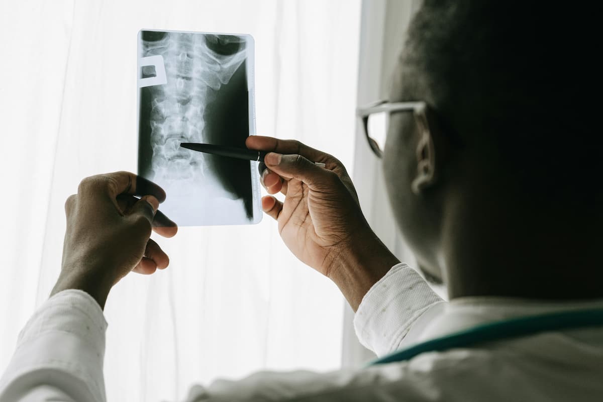 Médico veterinário vendo um diagnóstico por imagem