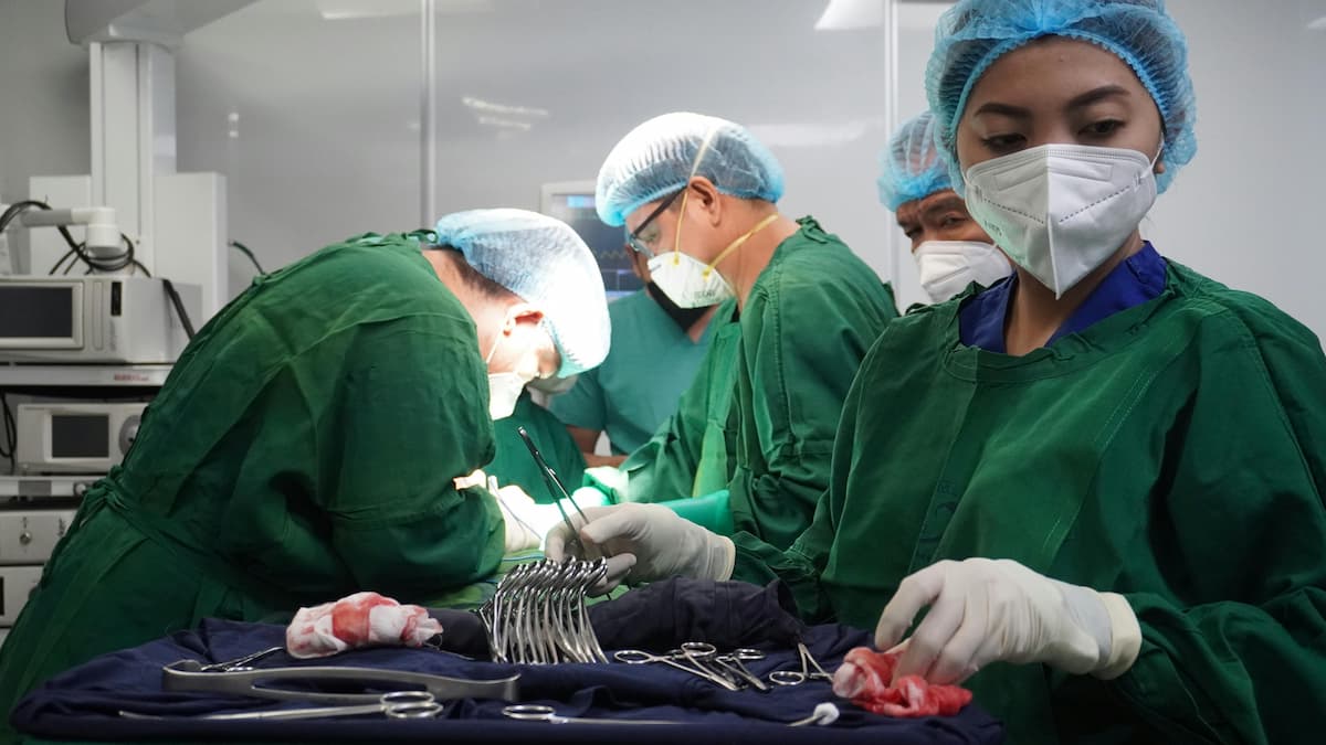 Oncologistas veterinários em uma sala de operação 