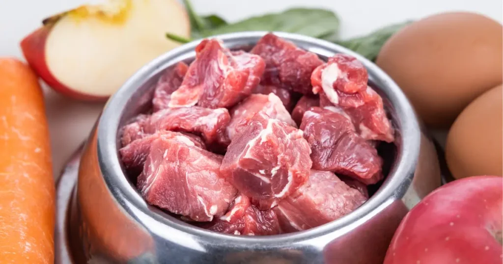 Comedouro para cachorro com carne vermelha crua e vegetais ao redor. Descubra a melhor dieta natural para cães com problemas renais e quais são os alimentos proibidos.