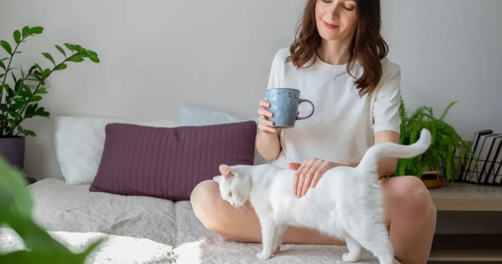 A imagem mostra uma mulher sentada em uma cama, segurando uma caneca e acariciando um gato branco. Ela sorri enquanto interage com o animal, que está em pé ao seu lado, aparentemente confortável e à vontade. Ao fundo, há almofadas e plantas, criando um ambiente acolhedor e relaxante. A cena transmite um momento de tranquilidade e afeto entre a pessoa e o gato.