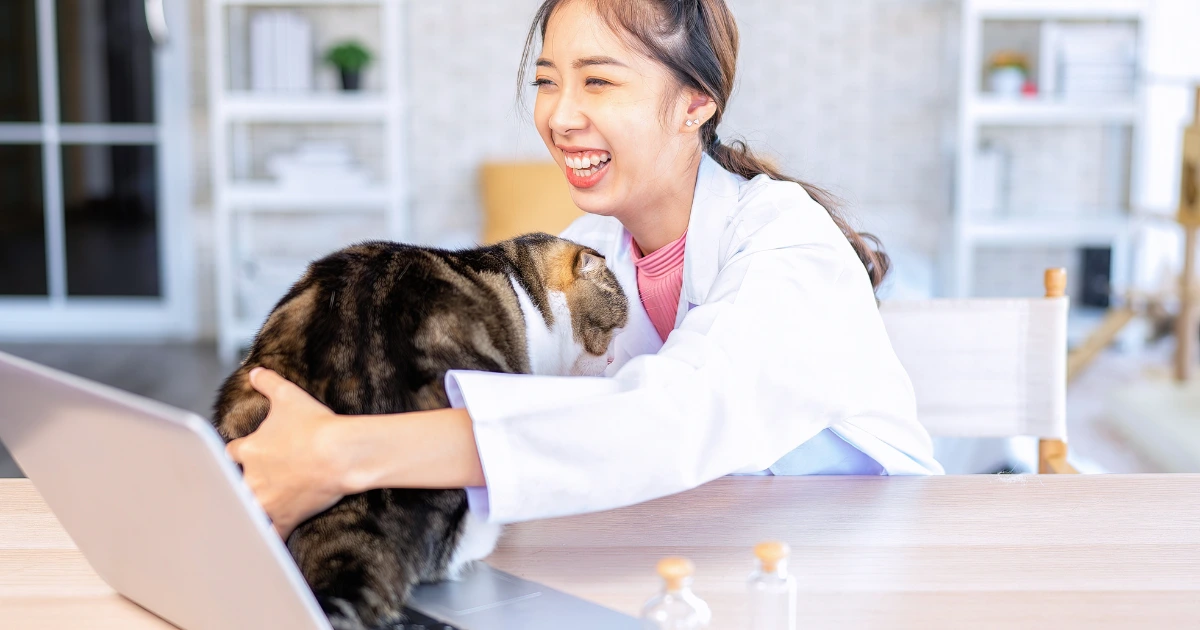 A imagem mostra uma veterinária sorridente vestindo um jaleco branco enquanto interage com um gato listrado de pelo curto. O felino está sobre uma mesa ao lado de um laptop, e a profissional o abraça carinhosamente, demonstrando afeto e conexão com o animal. O ambiente é claro e bem iluminado, com prateleiras ao fundo, sugerindo um consultório ou espaço de trabalho moderno. A cena transmite um clima descontraído e positivo, possivelmente relacionado ao marketing digital para veterinários ou atendimento online.